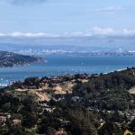 Marin County Website Design: Crafting Digital Excellence with SEO Strategies