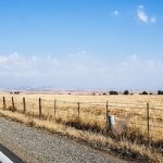 Supporting Merced County Agriculture: Digital Marketing Strategies for Local Farms and Markets