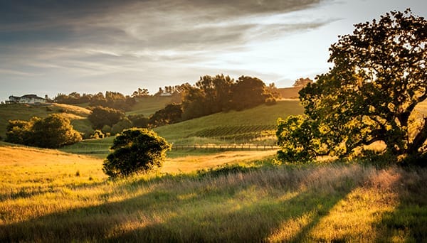 sonoma county graphic designer