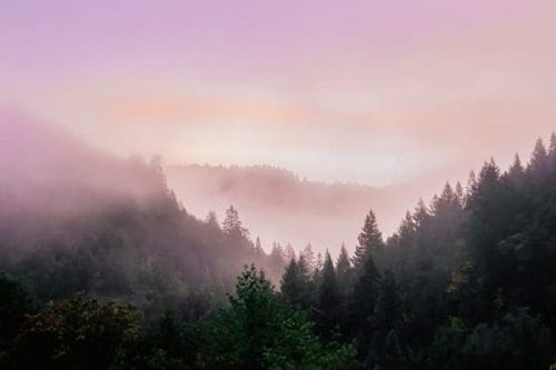 humboldt county digital marketing