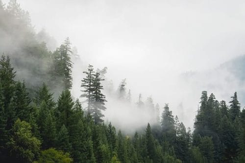 humboldt county website design