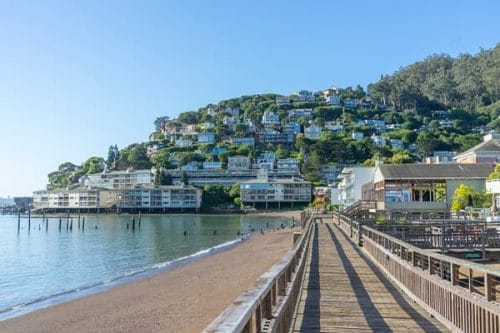 marin county digital marketing