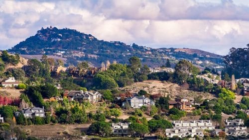 mill valley seo agency
