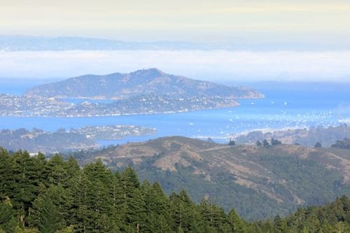 mill valley web hosting and maintenance