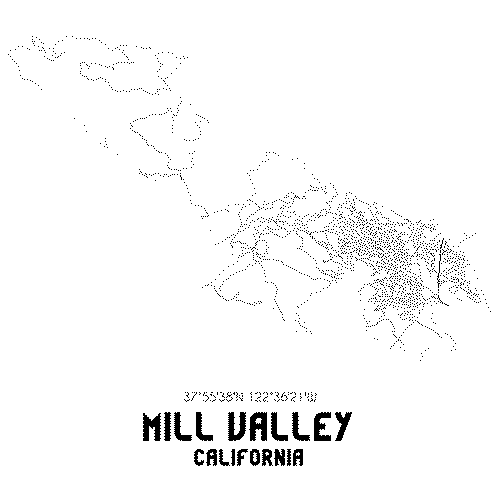 mill valley website designer