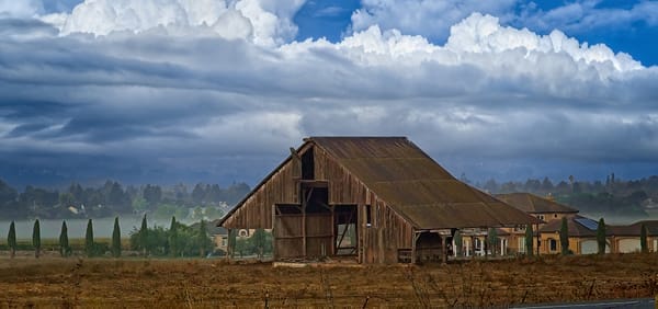 petaluma digital marketing