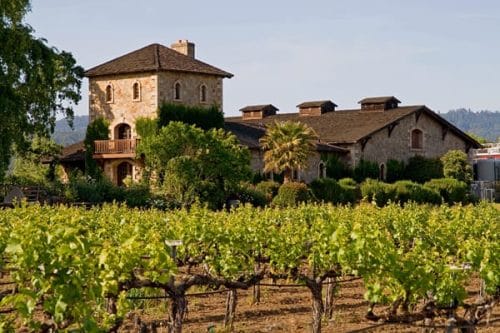 napa graphic design