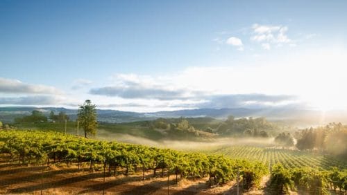 napa website design